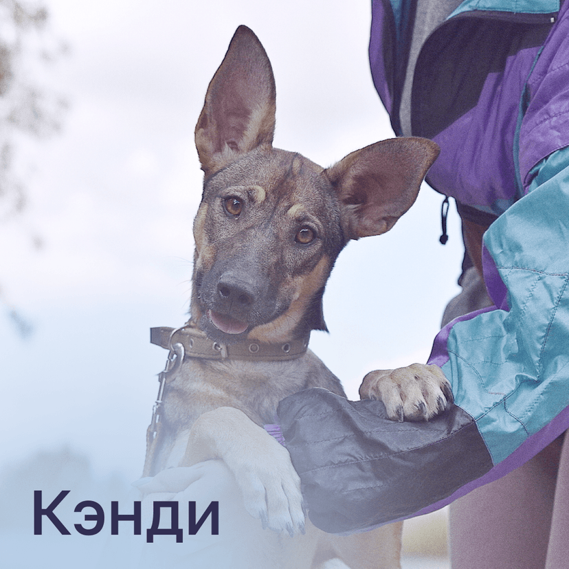 Кэнди