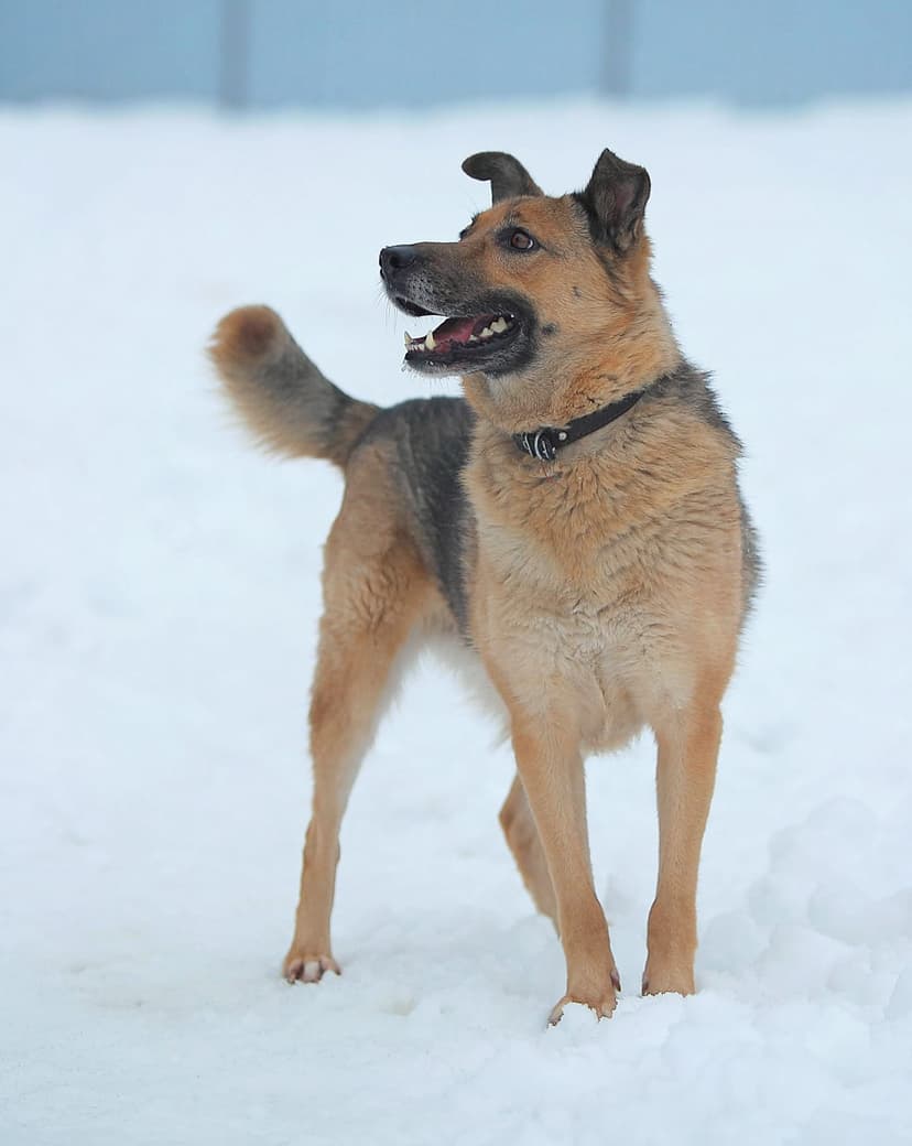 Кудина