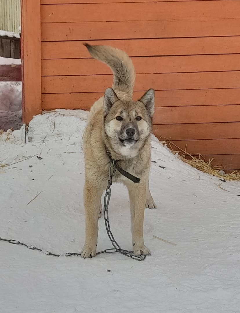 Нотка
