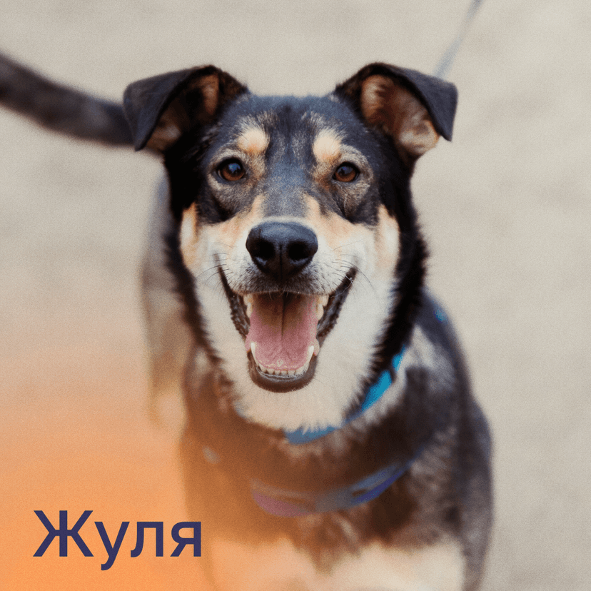 Жуля