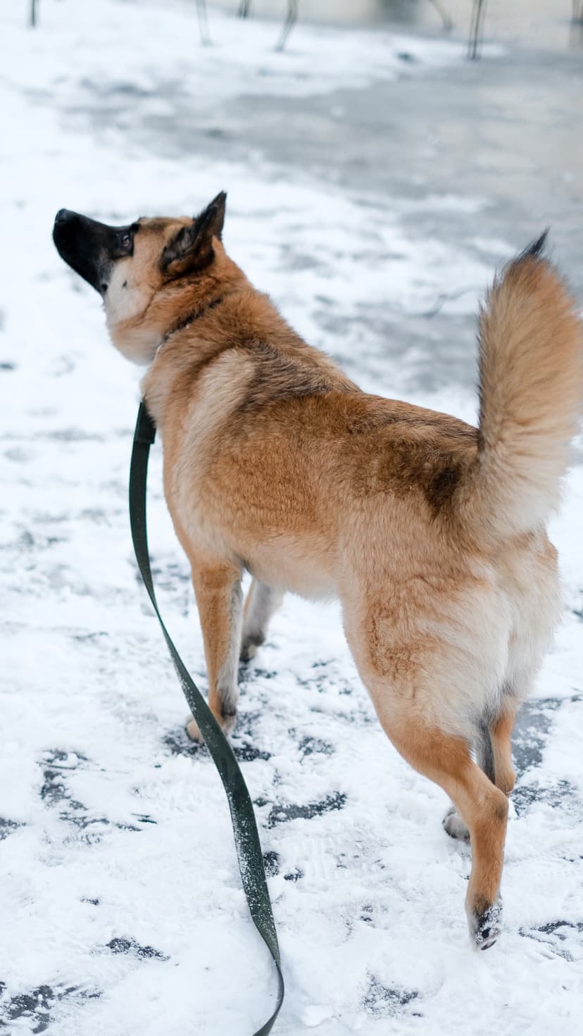 Юна