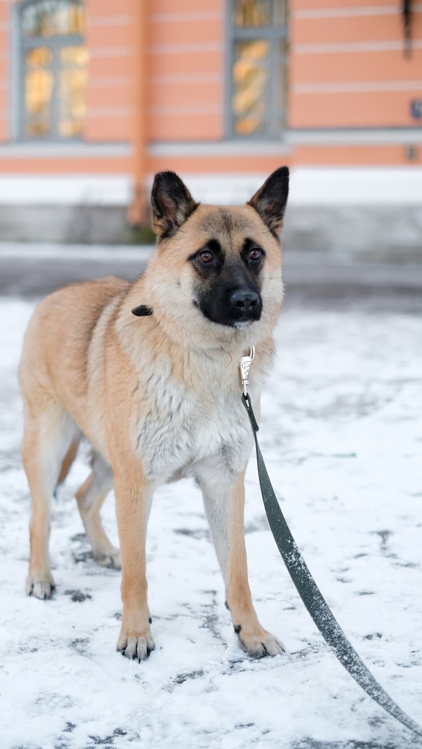 Юна