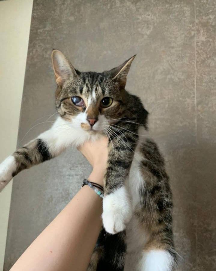 Тытынц