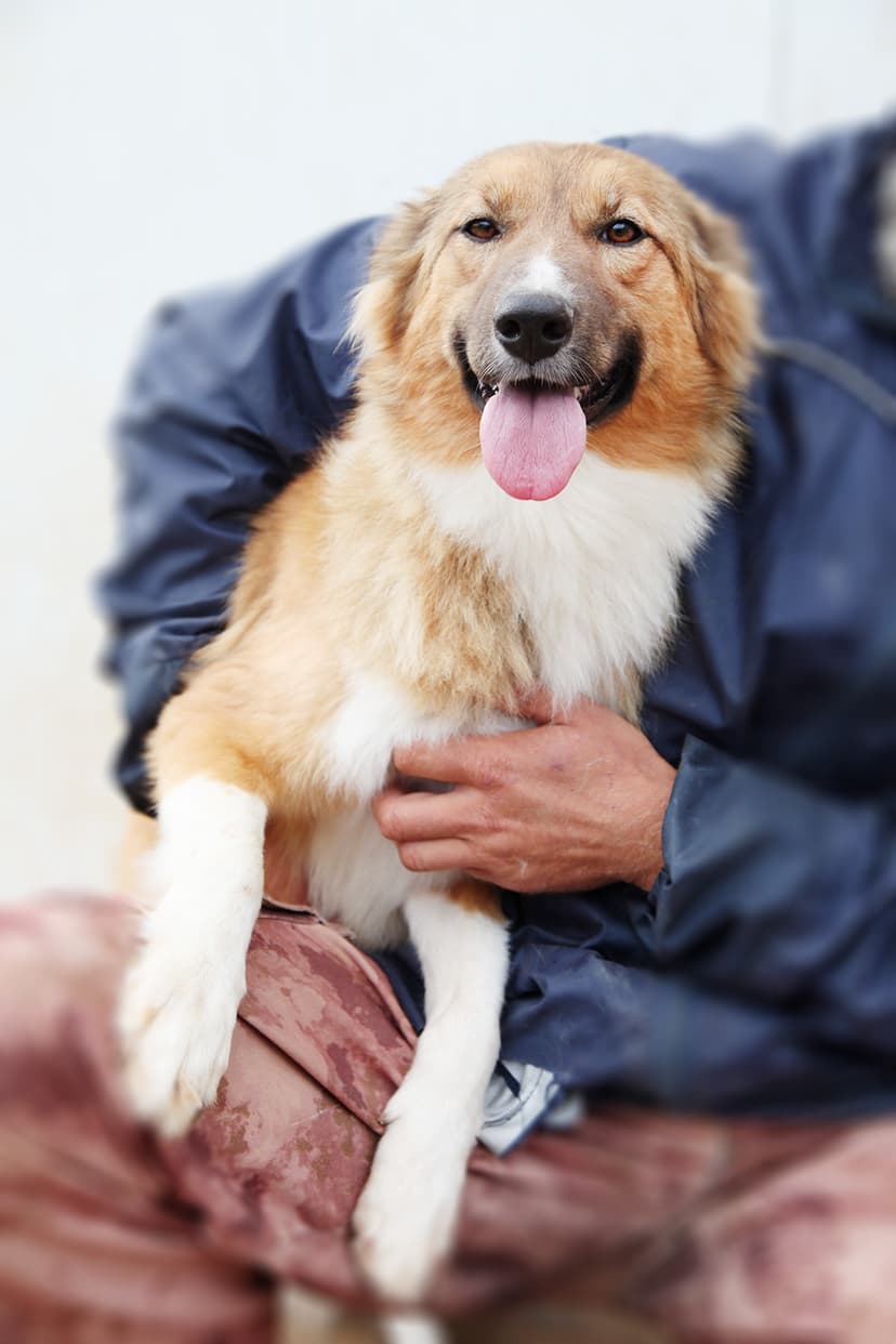Кюхля
