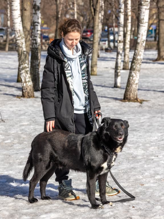 Пух