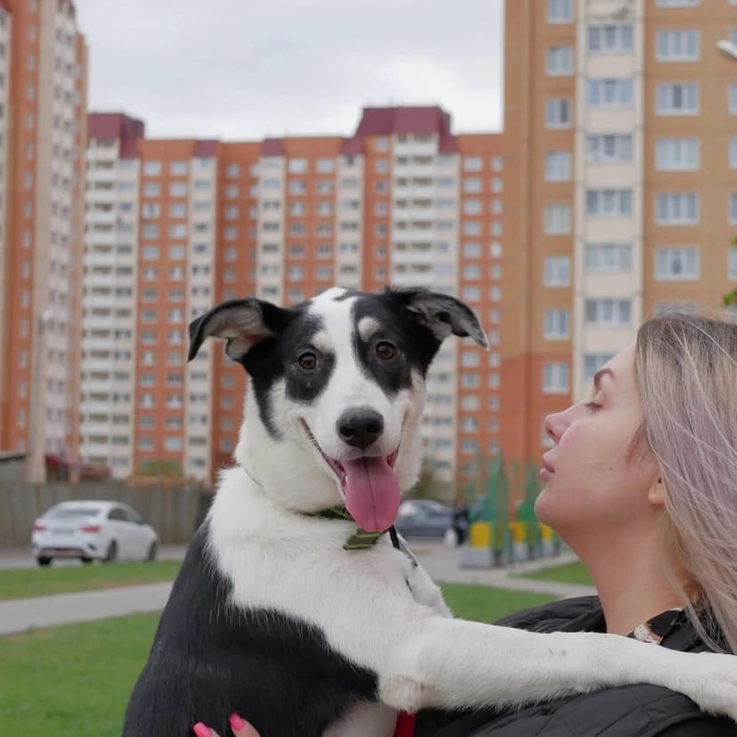 Дороти