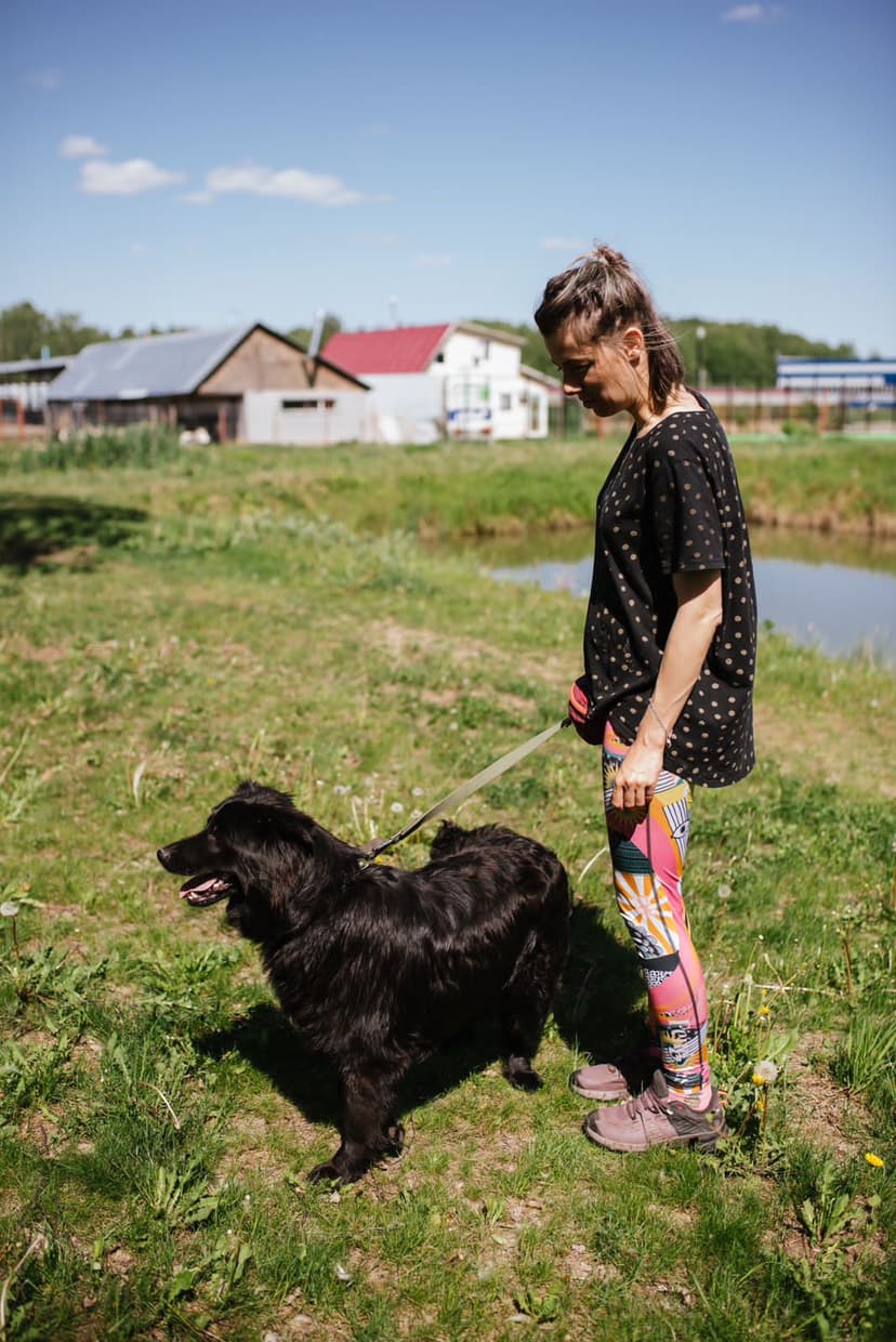 Виола