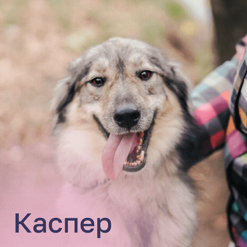 Каспер