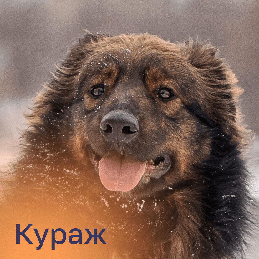 Кураж
