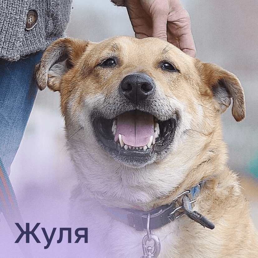 Жуля