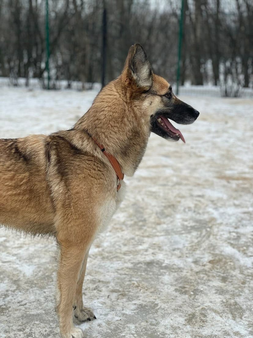 Танюшка