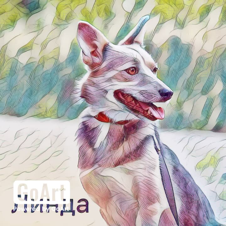 Линда