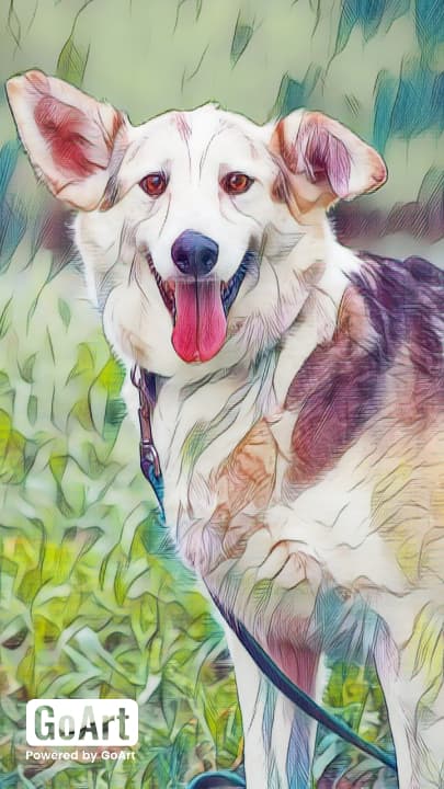 Луша