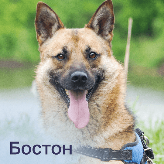 Бостон