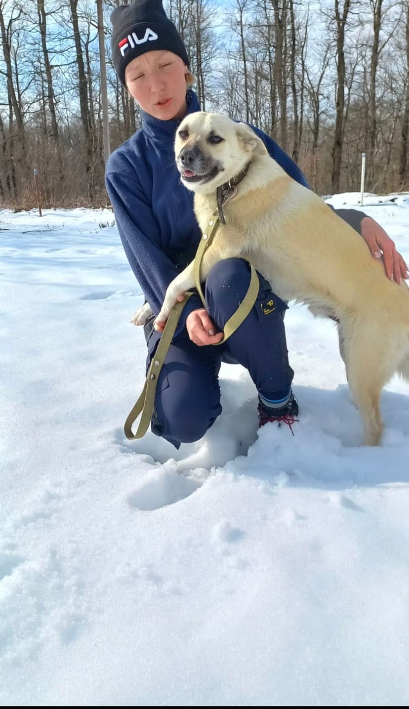Лаваш