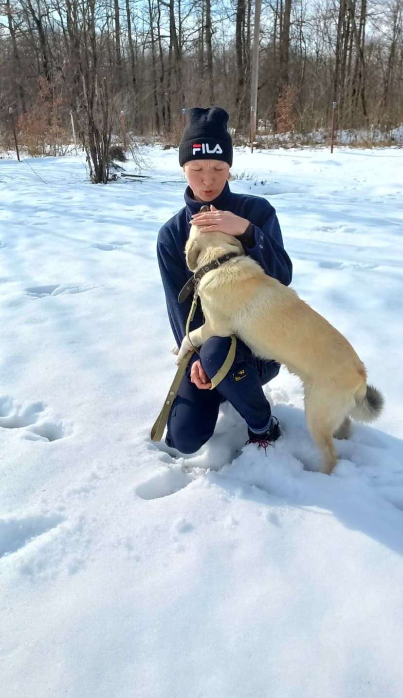 Лаваш