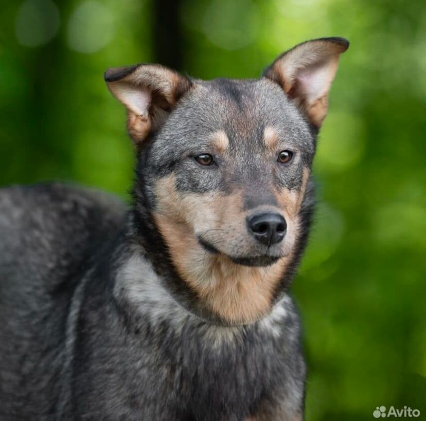 Лена 