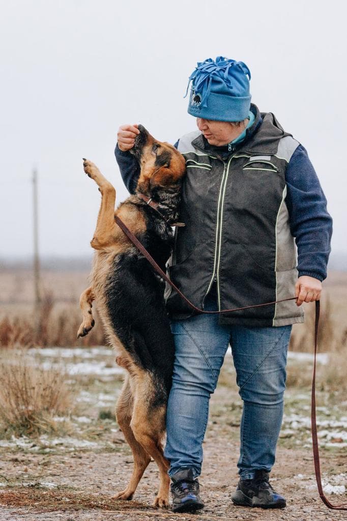 Джой
