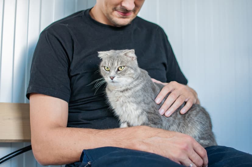 Сима