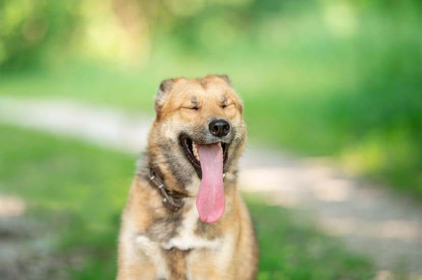 Лёха