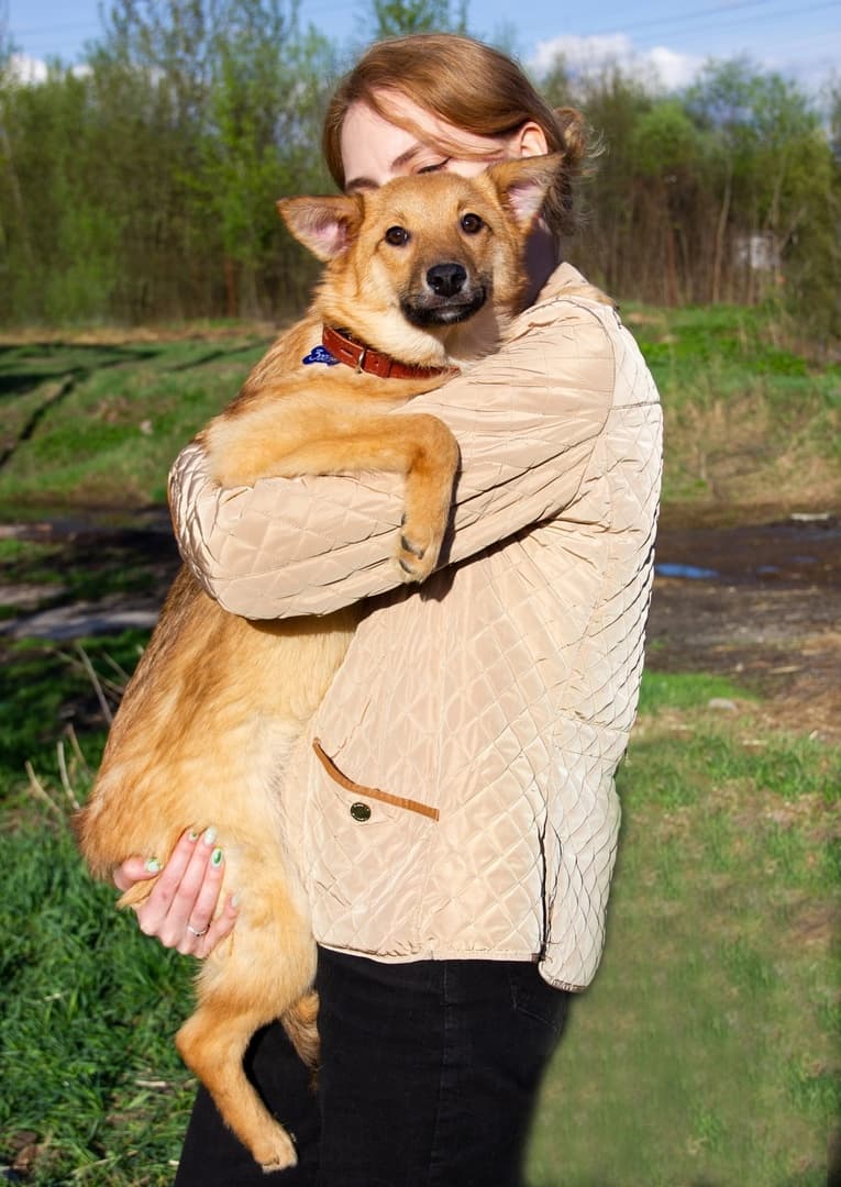 Лисёнок
