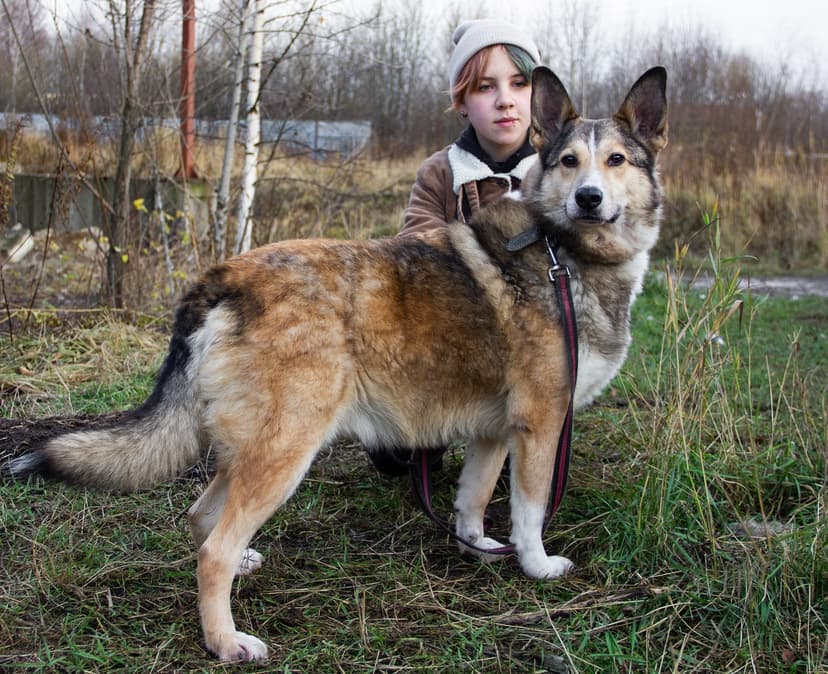 Дружок (Малыш)