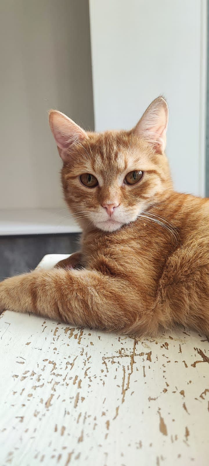 Марсик