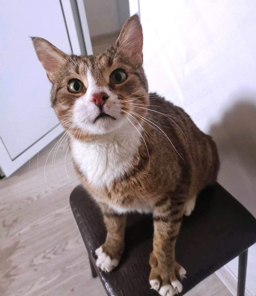 Арсений 