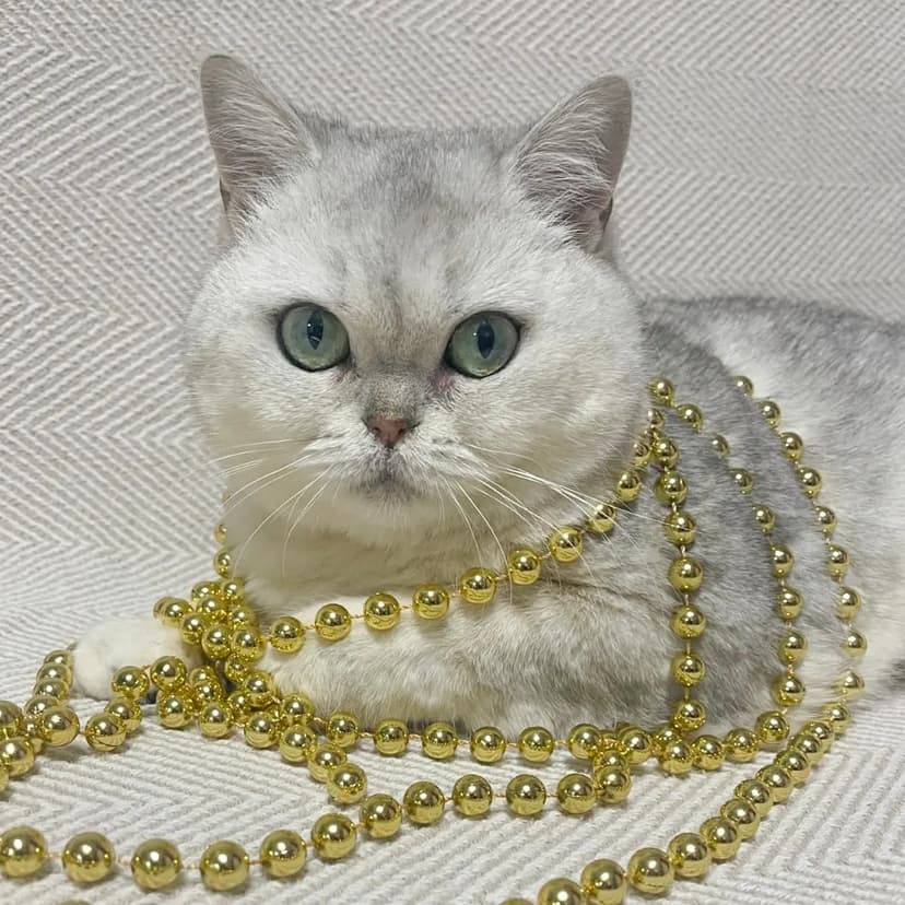 Русалочка