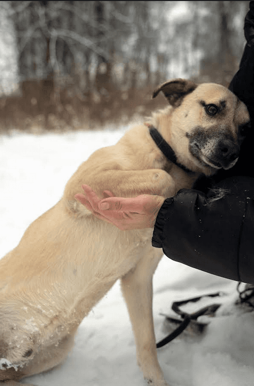 Бельчик