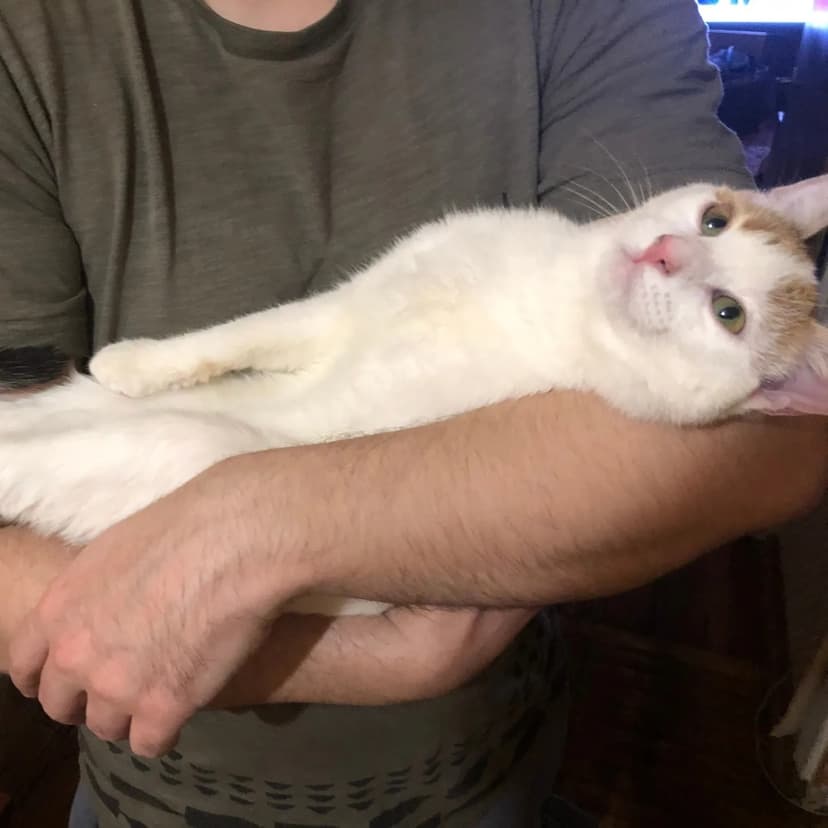 Малышка