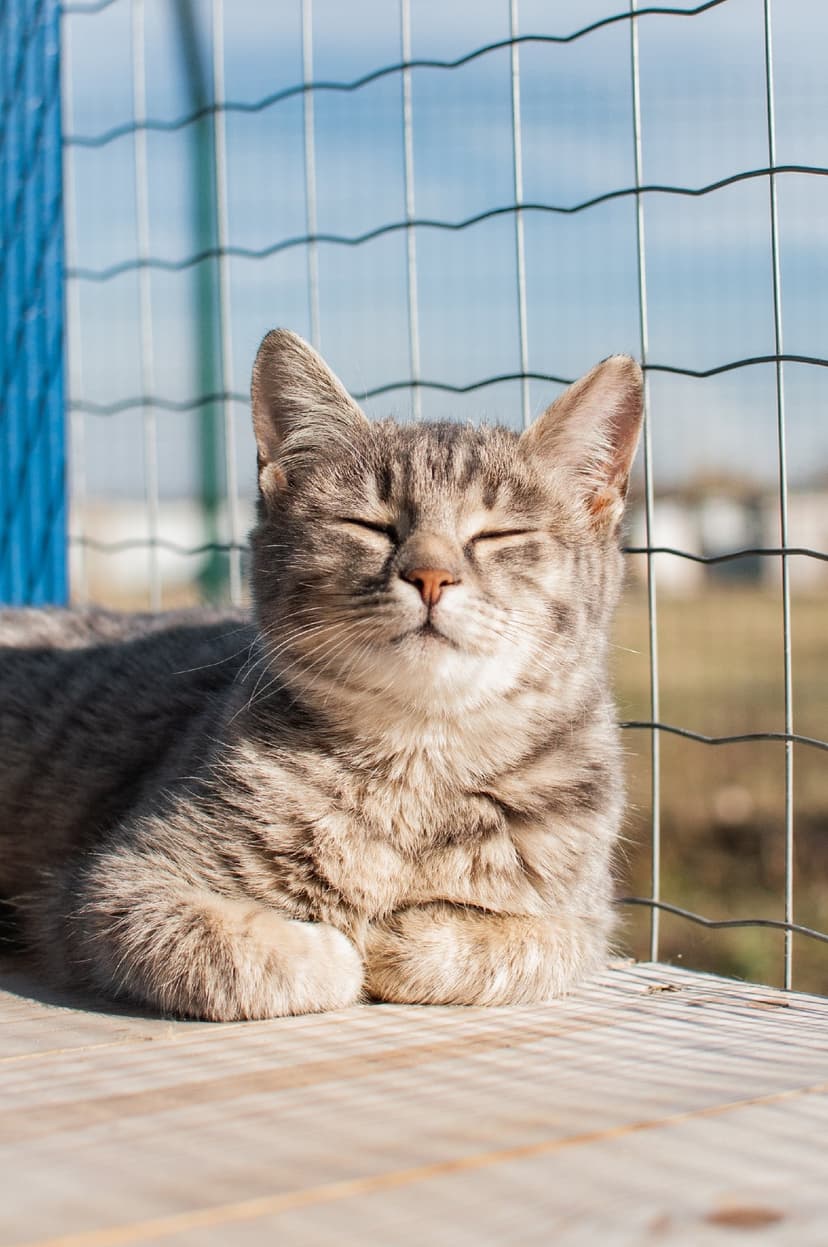 Мальчик
