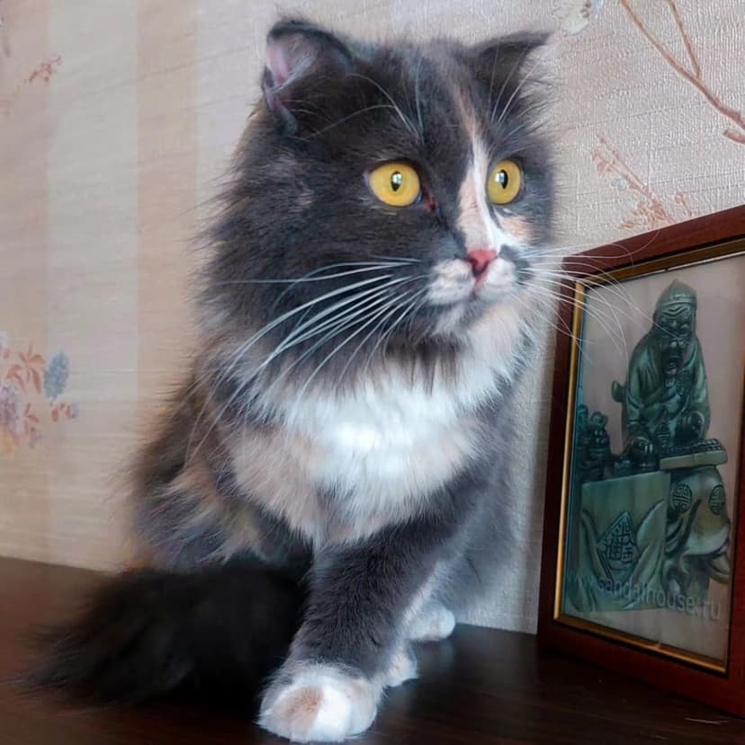 Марта