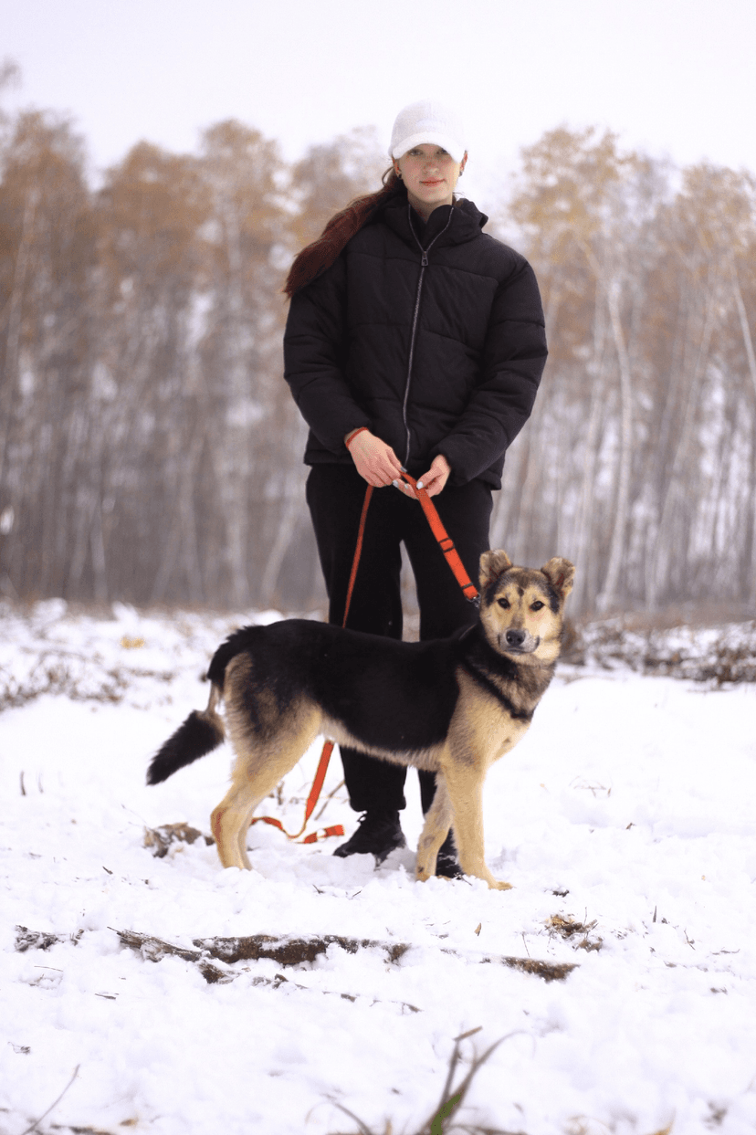 Спарки