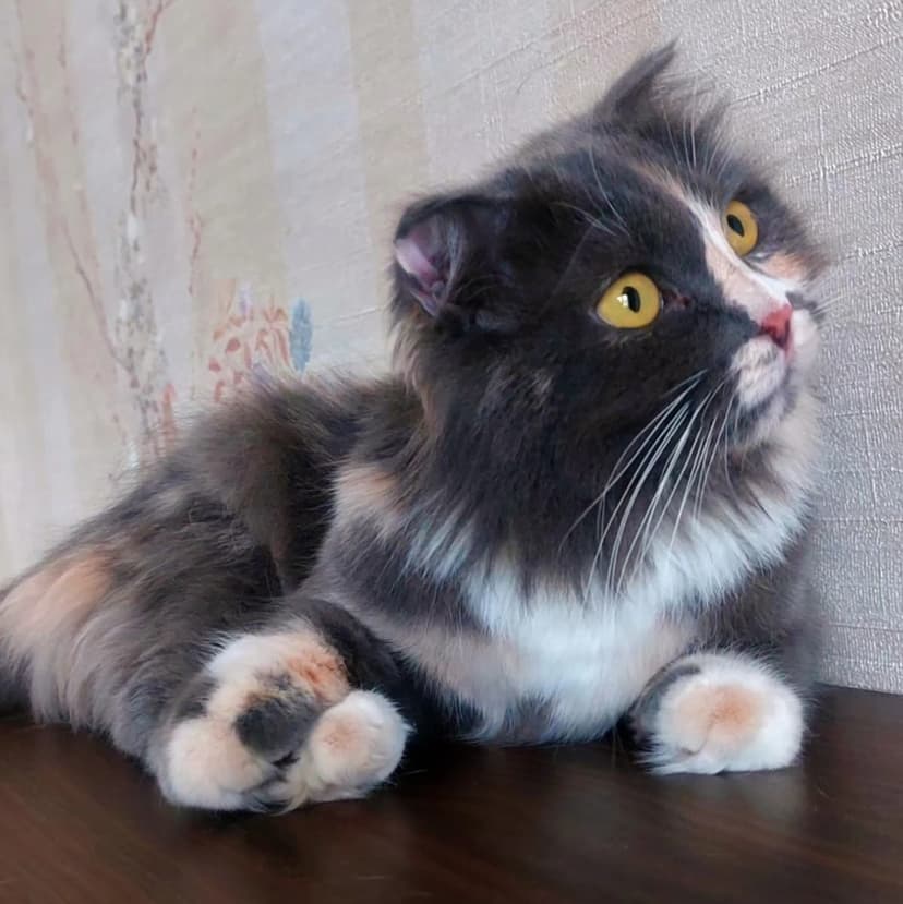 Марта