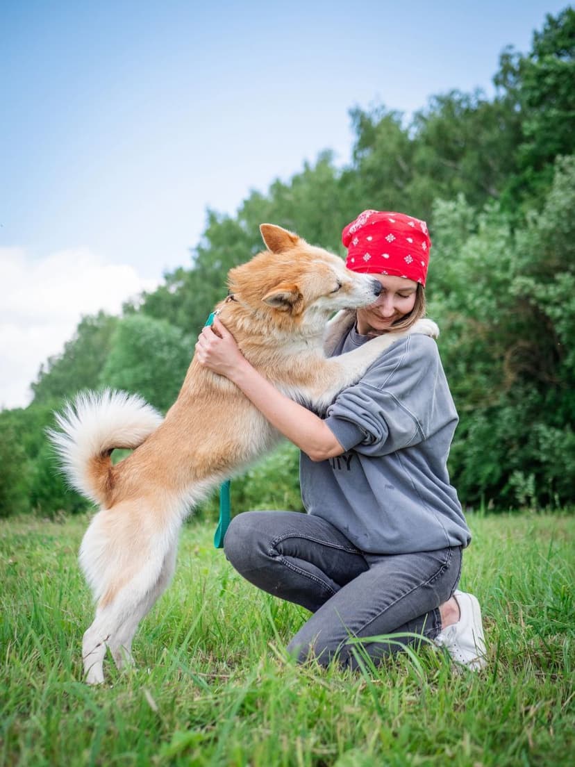 Холли