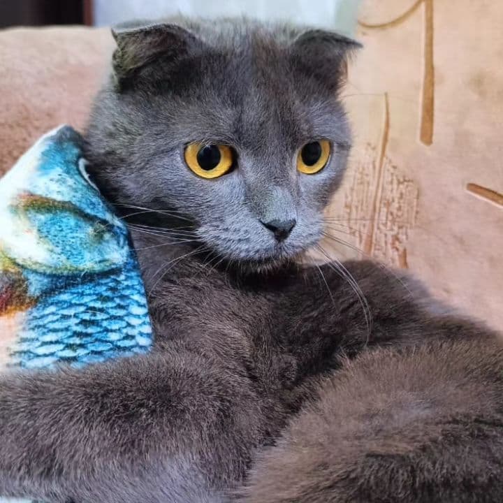 Патриция