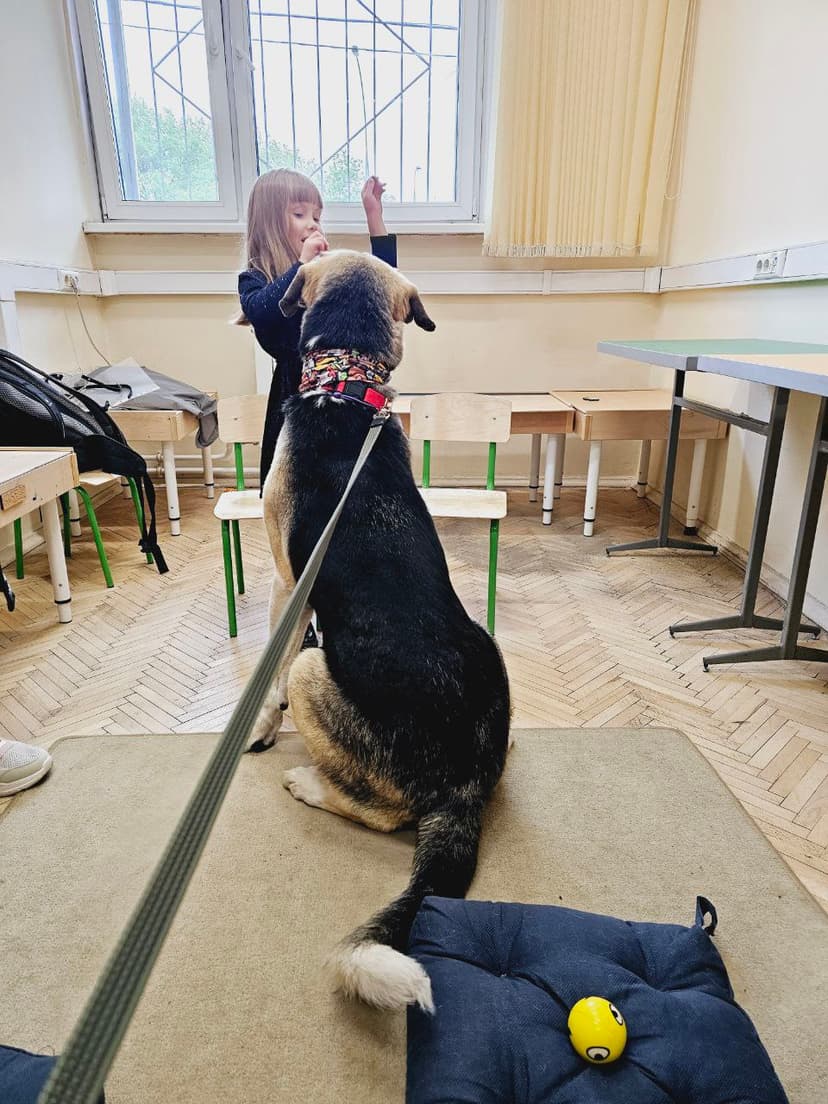 Идеальней по поведению, чем Хонда не найти