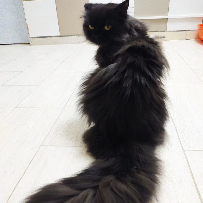 Егор