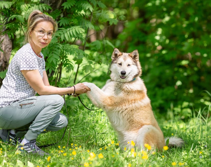 Альба 