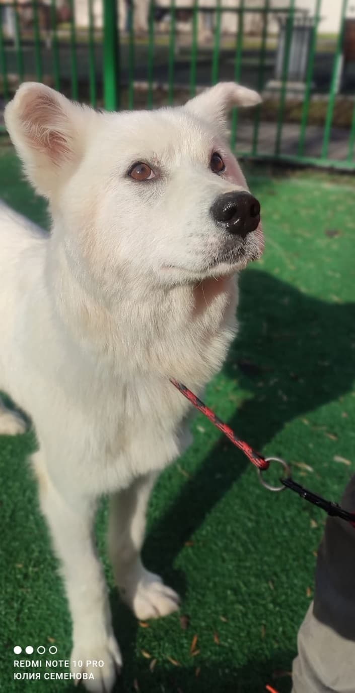 Зима