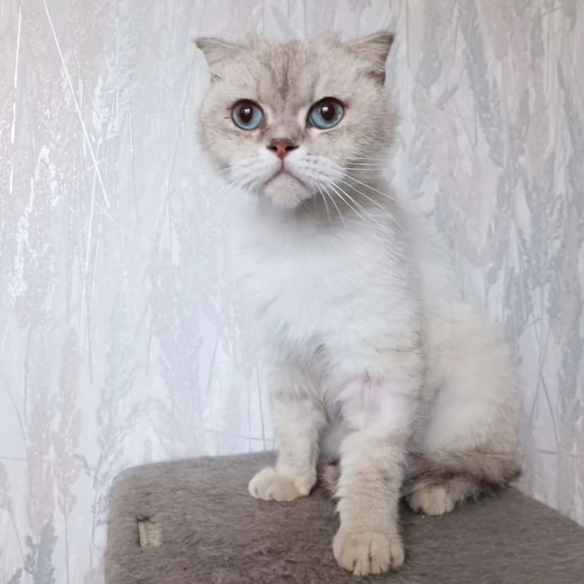 Аляска