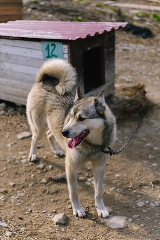 Вилен