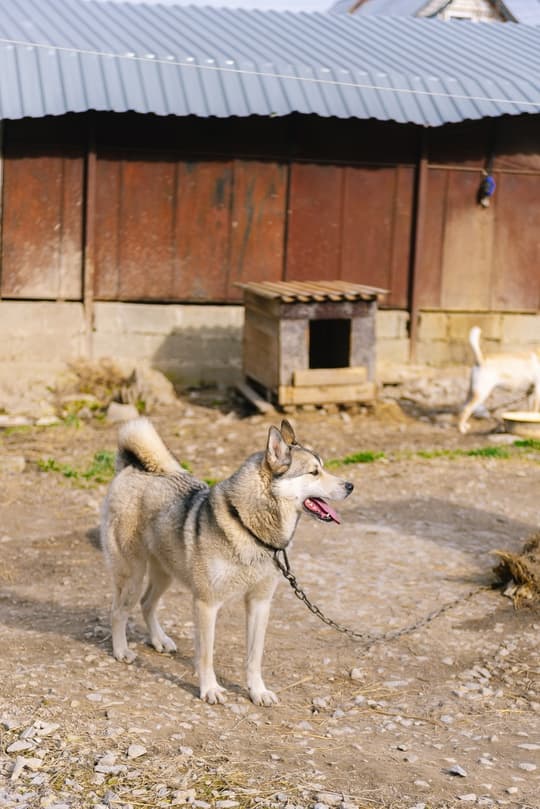 Вилен