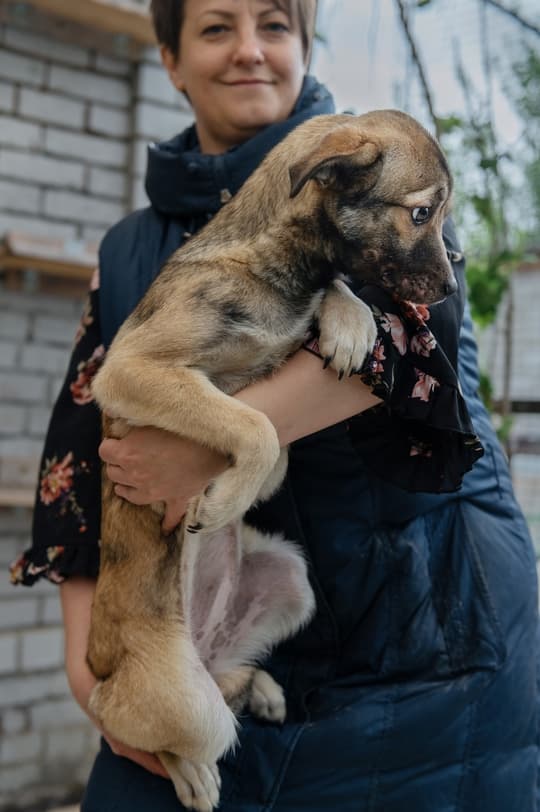 ЮППИ 
