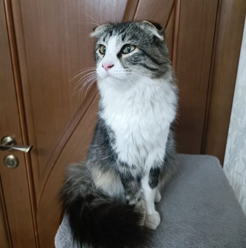 Барселон
