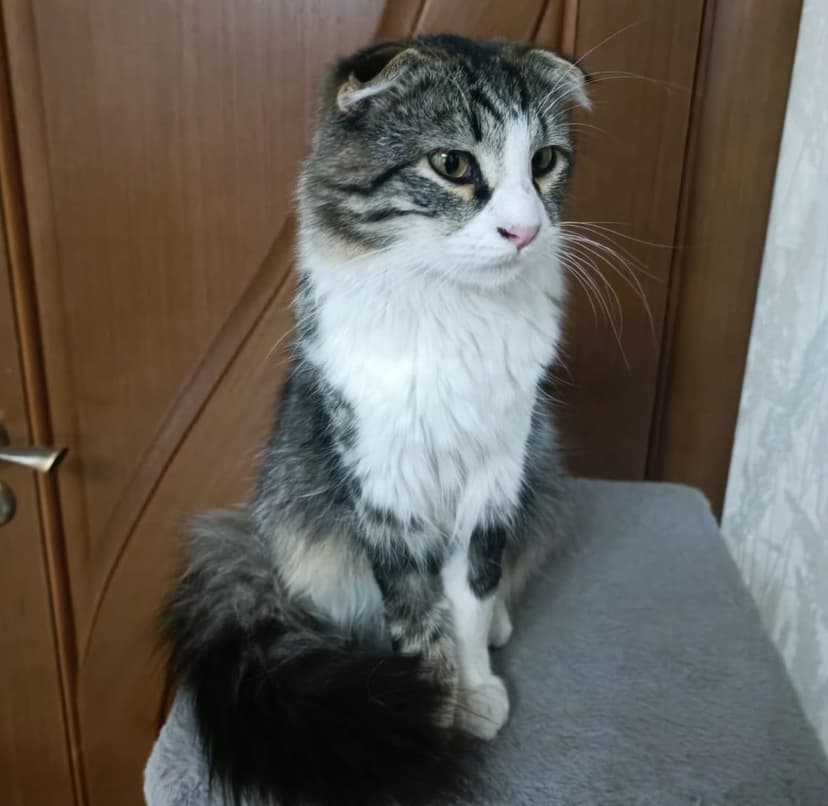 Барселон