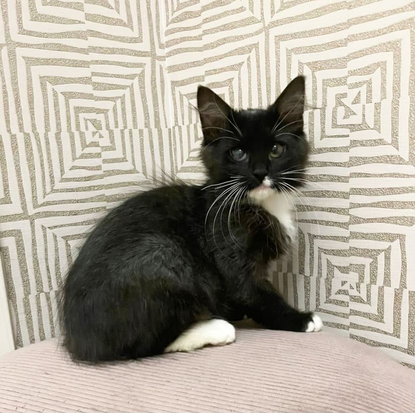 Марина