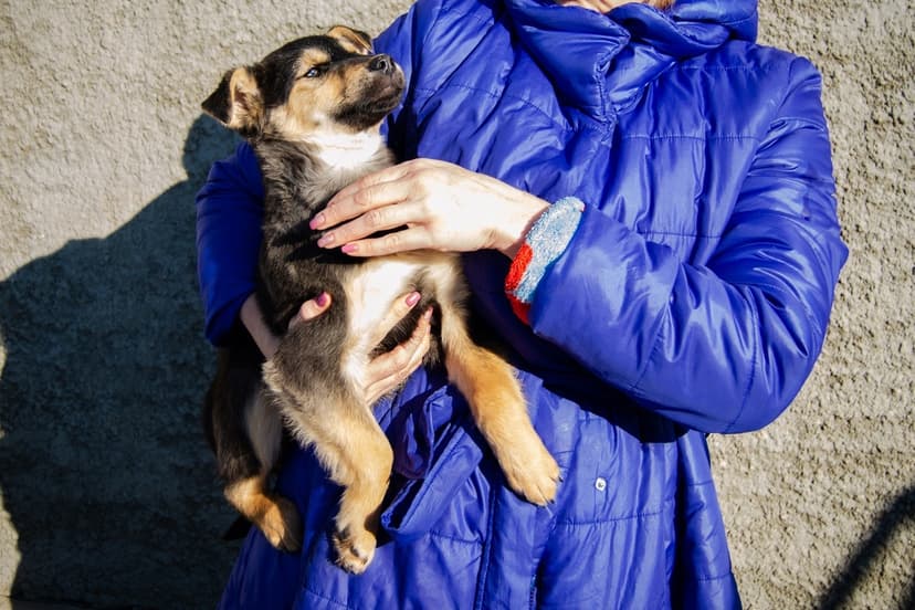 Псекупс 