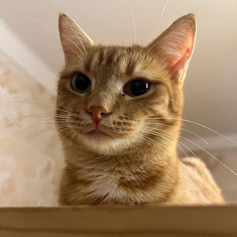 Юпитер